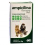 AMPICILINA VET ORAL PO 50GR